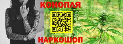 спайс Можга