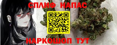 дмт Моздок