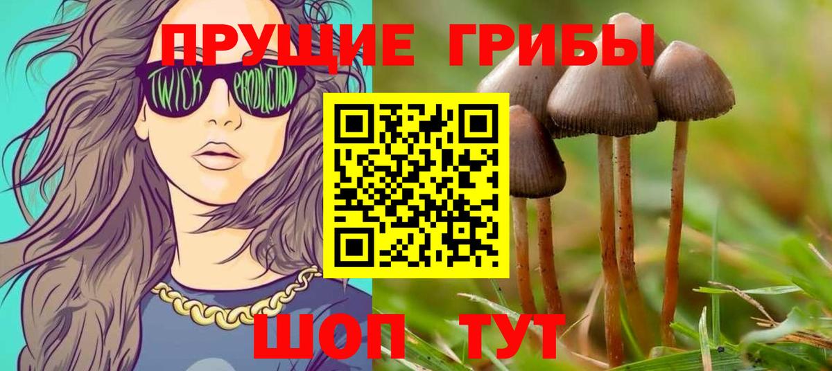 Псилоцибиновые грибы Psilocybe  Вход с VPN  Строитель 