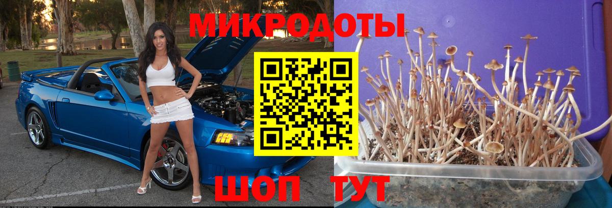Галлюциногенные грибы GOLDEN TEACHER Строитель